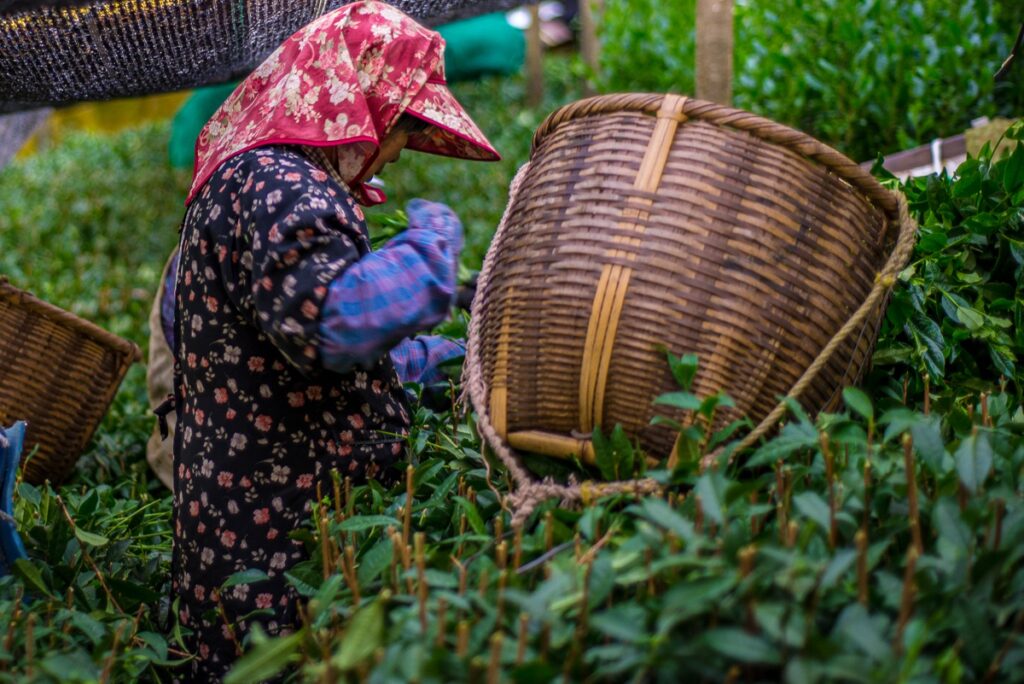 Direct Access to Origin - Anbantea