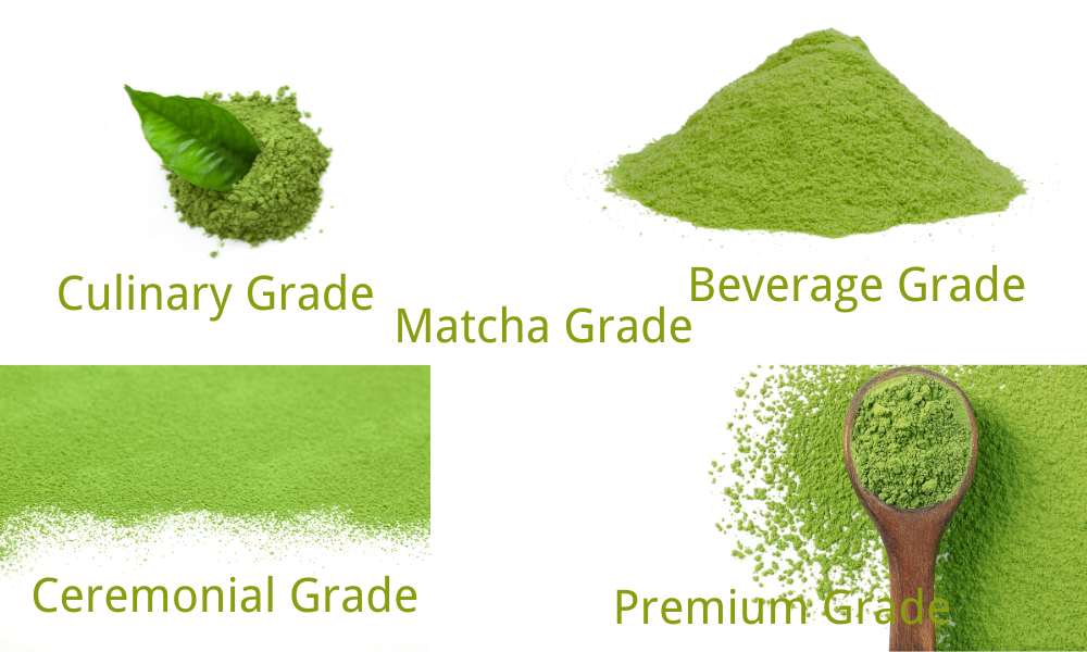 The Nuances of Matcha Grades - Anbantea