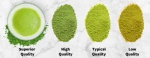 The Significance of Color in Matcha Quality - AnbanTea