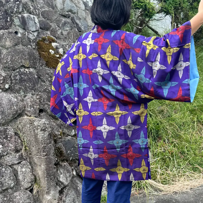 haollyp02 (1) haollyp02 (1)